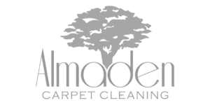 Creative Misfits - Almaden Carpet Cleaning